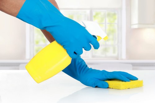 Regular cleaning service for a Hackney home interior