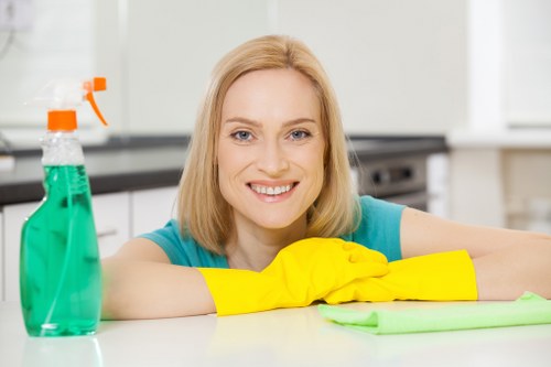 Kitchen and bathroom regular cleaning in a Hackney flat
